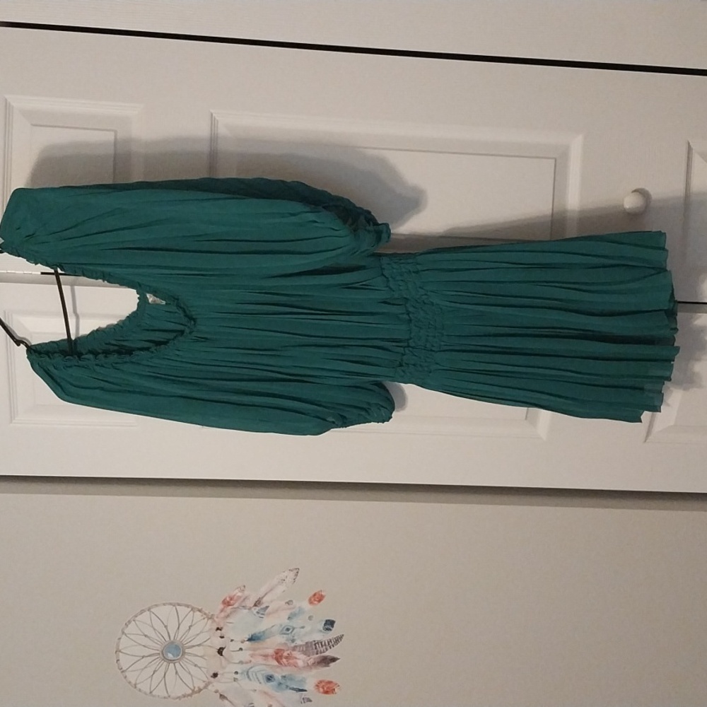 Nwot Green pleated dress from Max Studio size M